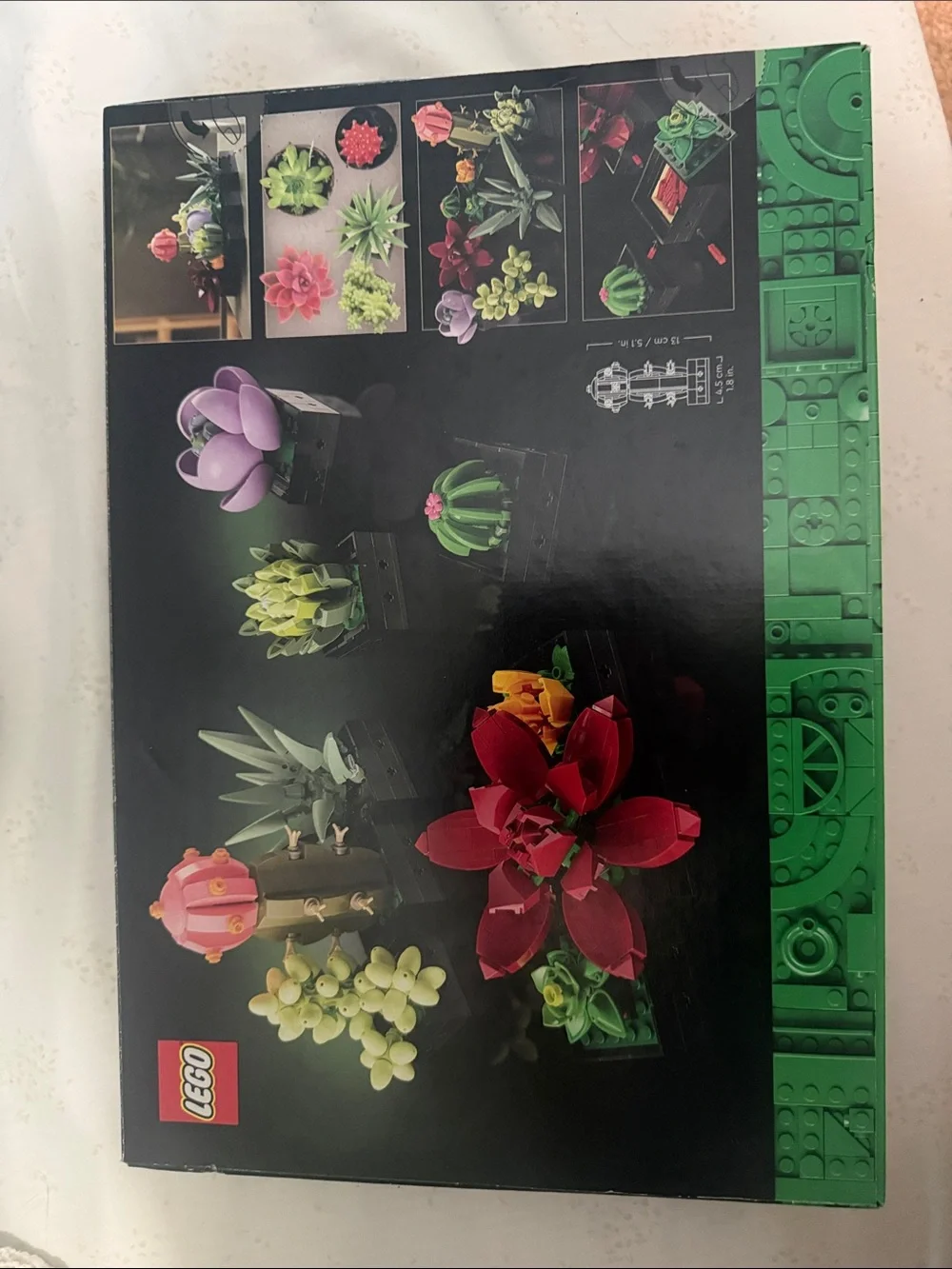 LEGO Botanical Collection Succulents - Black Box with Colorful Succulents - Picture 2 of 2